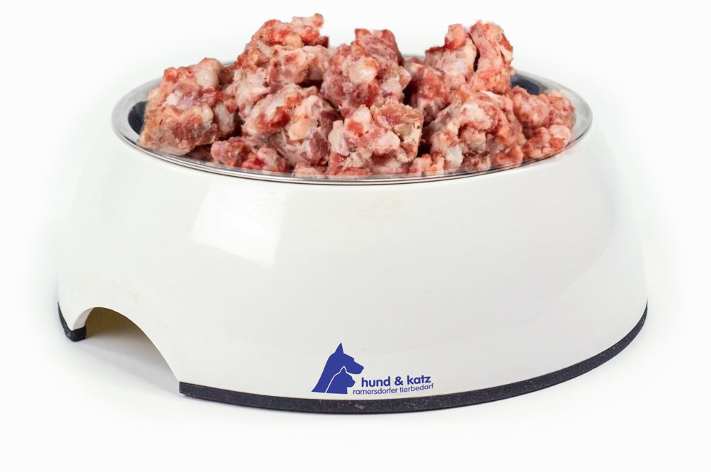Angebot Februar hund & katz