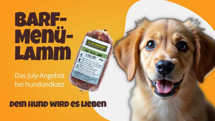 Angebot Februar hund & katz