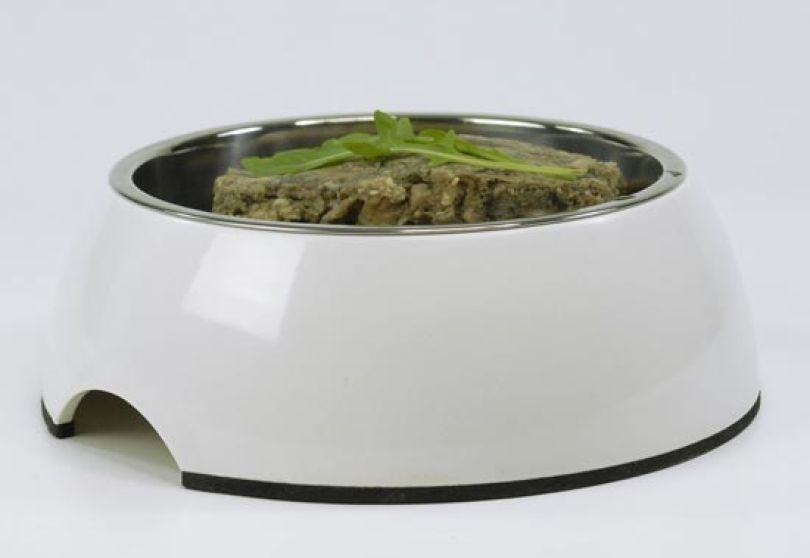 Monats Angebot bei Hund und Katz